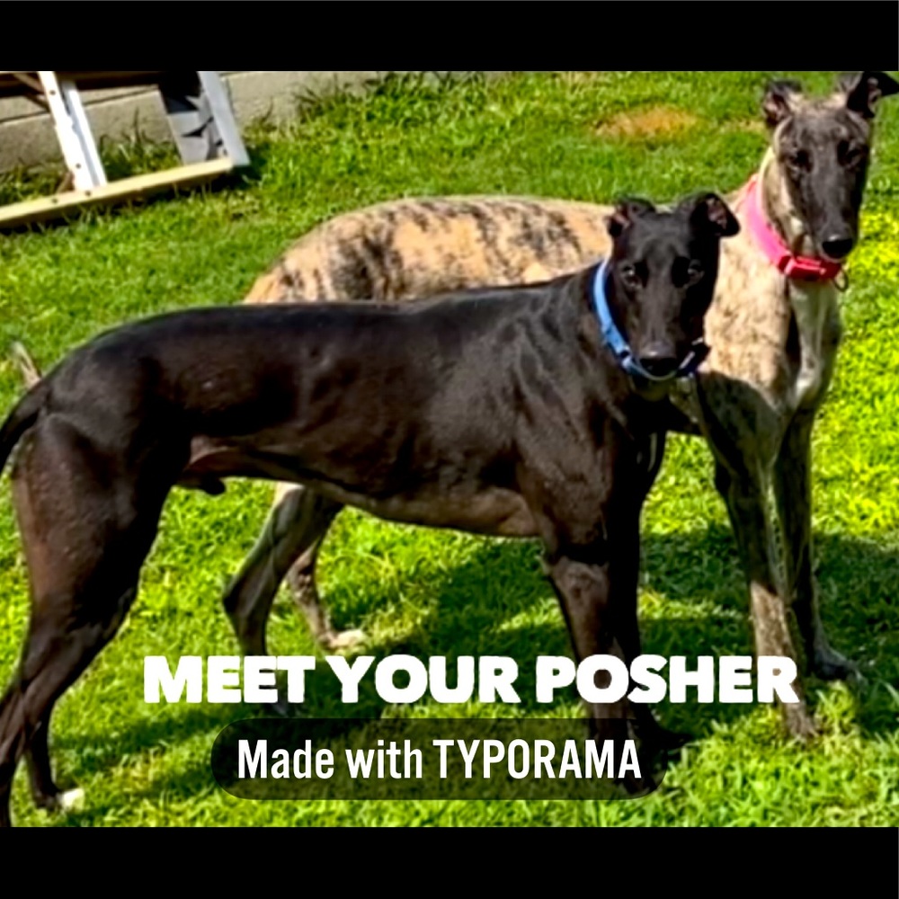Meet your Posher, Tina!